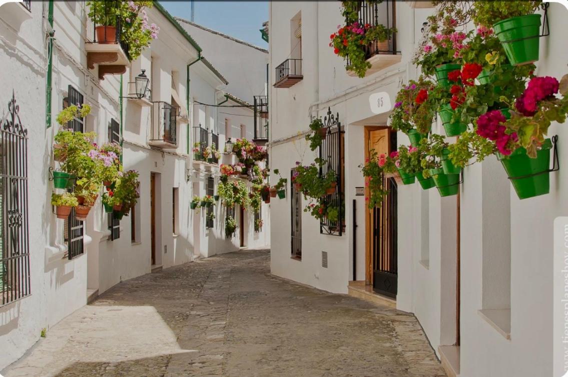 Apartamento E&D Nerja Exteriér fotografie